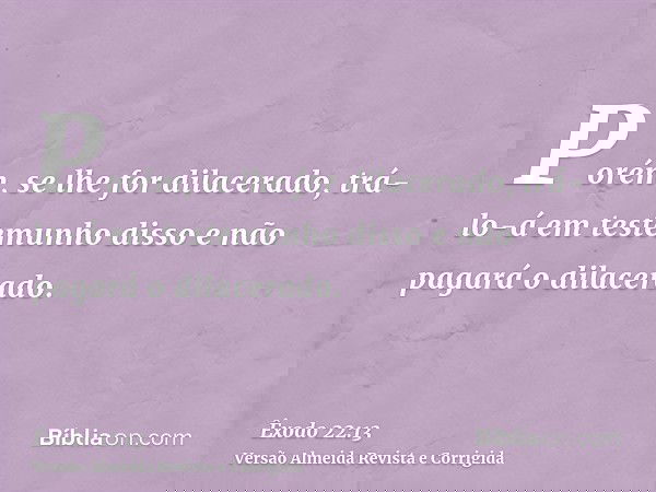Porém, se lhe for dilacerado, trá-lo-á em testemunho disso e não pagará o dilacerado.