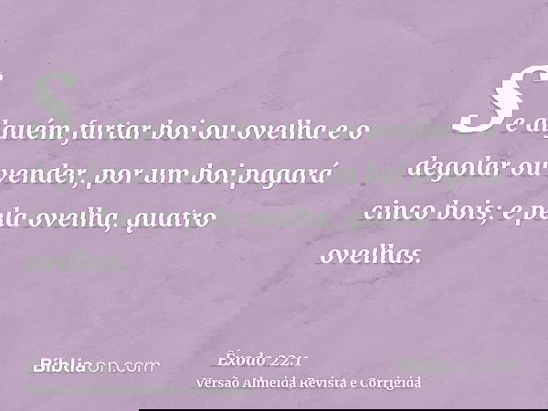 Se alguém furtar boi ou ovelha e o degolar ou vender, por um boi pagará cinco bois; e pela ovelha, quatro ovelhas.