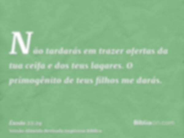 Não tardarás em trazer ofertas da tua ceifa e dos teus lagares. O primogênito de teus filhos me darás.