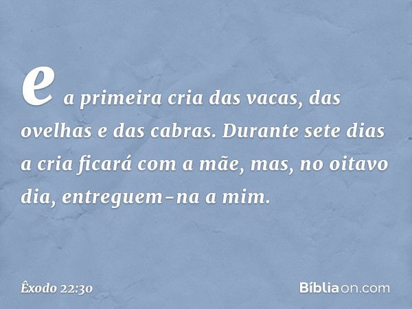 e­ a primeira cria das vacas, das ovelhas e das cabras. Durante sete dias a cria ficará com a mãe, mas, no oitavo dia, entreguem-na a mim. -- Êxodo 22:30