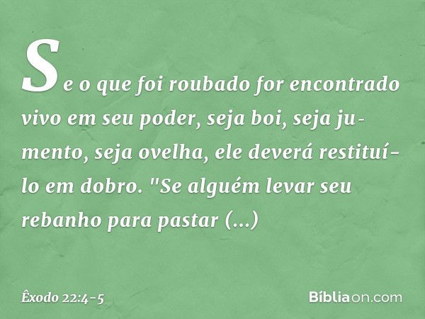 Se o que foi roubado for en­contrado vivo em seu poder, seja boi, seja ju­mento, seja ovelha, ele deverá restituí-lo em dobro. "Se alguém levar seu rebanho para