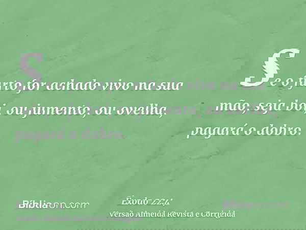 Se o furto for achado vivo na sua mão, seja boi, ou jumento, ou ovelha, pagará o dobro.