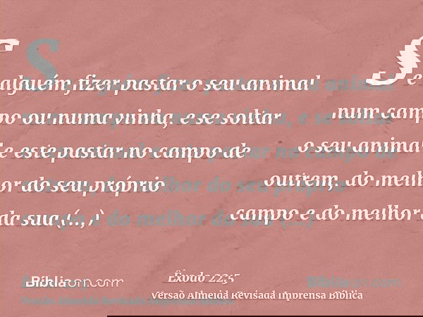 Se alguém fizer pastar o seu animal num campo ou numa vinha, e se soltar o seu animal e este pastar no campo de outrem, do melhor do seu próprio campo e do melh
