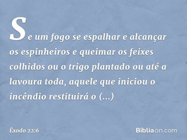 "Se um fogo se espalhar e alcançar os espinheiros e queimar os feixes colhidos ou o trigo plantado ou até a lavoura toda, aquele que iniciou o incêndio restitui