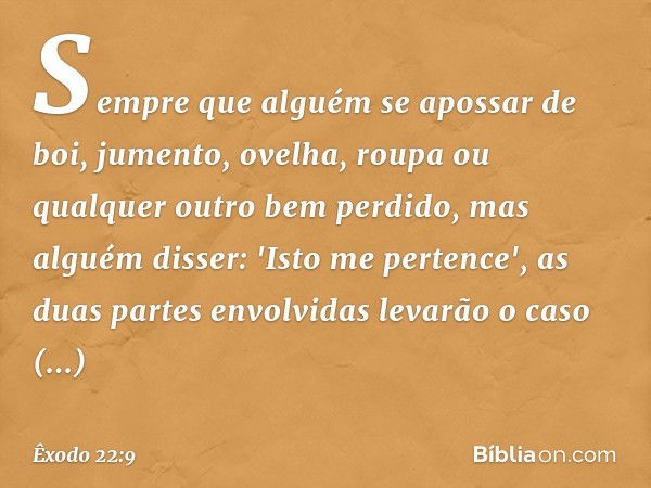 Sempre que alguém se apossar de boi, jumento, ovelha, roupa ou qualquer outro bem perdido, mas alguém disser: 'Isto me pertence', as duas partes envolvidas leva