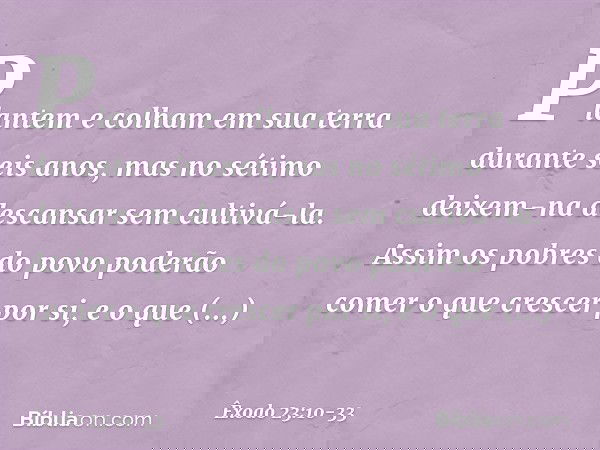 "Plantem e colham em sua terra durante seis anos, mas no sétimo deixem-na descansar sem cultivá-la. Assim os pobres do povo poderão comer o que crescer por si