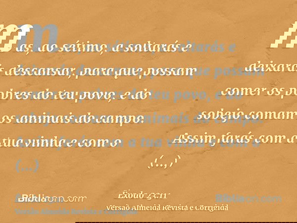 mas, ao sétimo, a soltarás e deixarás descansar, para que possam comer os pobres do teu povo, e do sobejo comam os animais do campo. Assim farás com a tua vinha