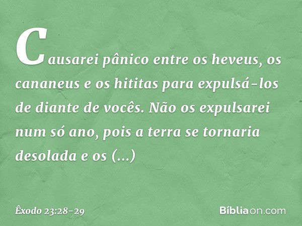 Causarei pânico entre os heveus, os cananeus e os hititas para expulsá-los de diante de vocês. Não os expulsarei num só ano, pois a terra se tornaria desolada e