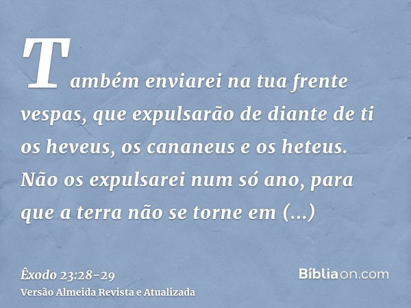 Também enviarei na tua frente vespas, que expulsarão de diante de ti os heveus, os cananeus e os heteus.Não os expulsarei num só ano, para que a terra não se to