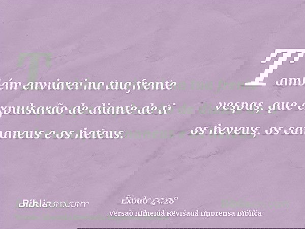 Também enviarei na tua frente vespas, que expulsarão de diante de ti os heveus, os cananeus e os heteus.