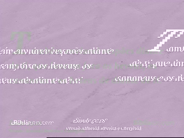 Também enviarei vespões diante de ti, que lancem fora os heveus, os cananeus e os heteus de diante de ti.