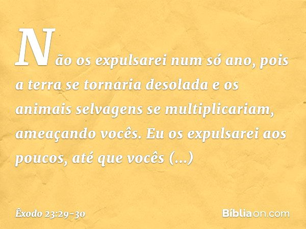 Não os expulsarei num só ano, pois a terra se tornaria desolada e os animais selvagens se multiplicariam, ameaçando vocês. Eu os expulsarei aos poucos, até que 