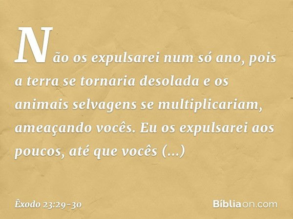 Não os expulsarei num só ano, pois a terra se tornaria desolada e os animais selvagens se multiplicariam, ameaçando vocês. Eu os expulsarei aos poucos, até que 