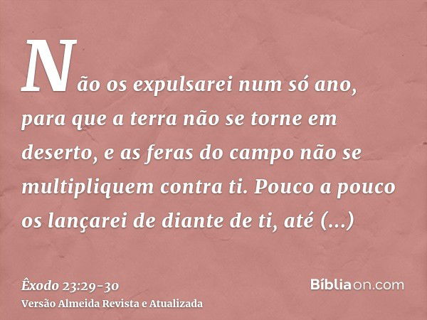 Não os expulsarei num só ano, para que a terra não se torne em deserto, e as feras do campo não se multipliquem contra ti.Pouco a pouco os lançarei de diante de