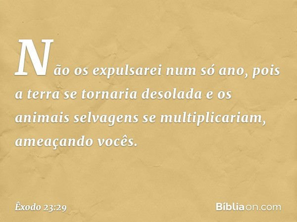 Não os expulsarei num só ano, pois a terra se tornaria desolada e os animais selvagens se multiplicariam, ameaçando vocês. -- Êxodo 23:29