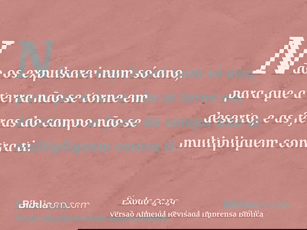 Não os expulsarei num só ano, para que a terra não se torne em deserto, e as feras do campo não se multipliquem contra ti.