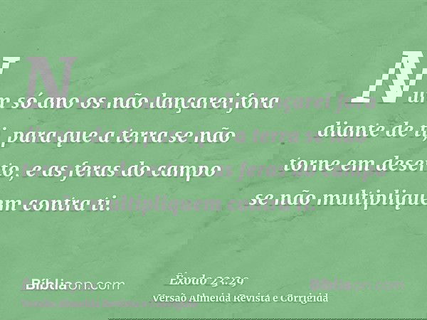 Num só ano os não lançarei fora diante de ti, para que a terra se não torne em deserto, e as feras do campo se não multipliquem contra ti.