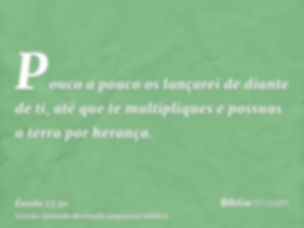 Pouco a pouco os lançarei de diante de ti, até que te multipliques e possuas a terra por herança.