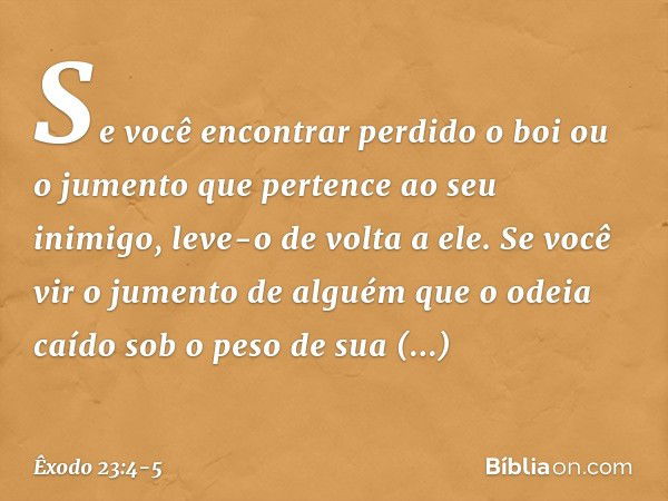 "Se você encontrar perdido o boi ou o jumento que pertence ao seu inimigo, leve-o de volta a ele. Se você vir o jumento de alguém que o odeia caído sob o peso d