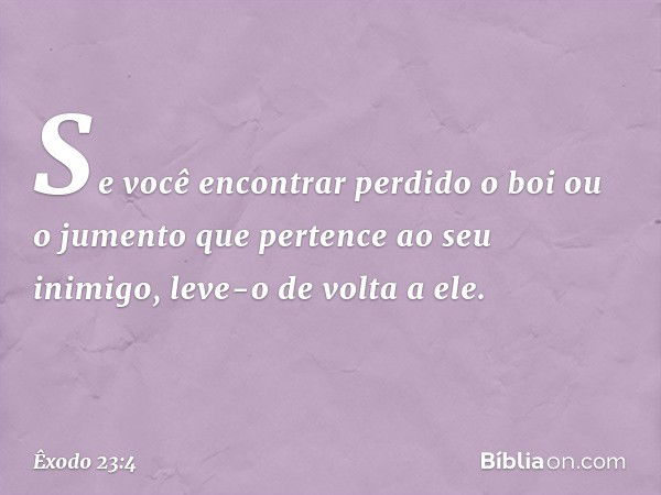 "Se você encontrar perdido o boi ou o jumento que pertence ao seu inimigo, leve-o de volta a ele. -- Êxodo 23:4