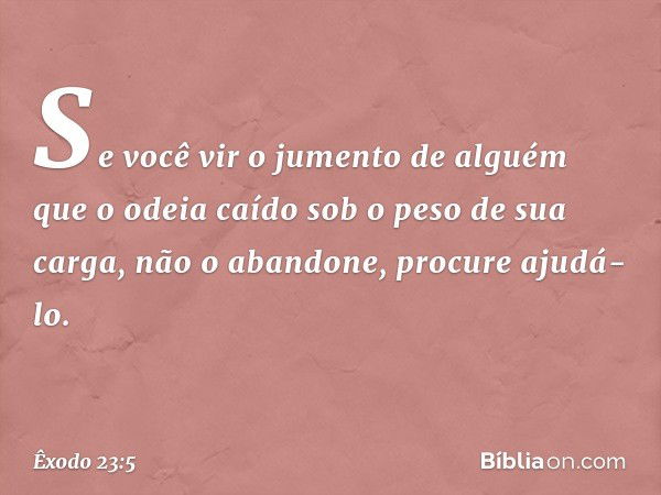 Se você vir o jumento de alguém que o odeia caído sob o peso de sua carga, não o aban­done, procure ajudá-lo. -- Êxodo 23:5