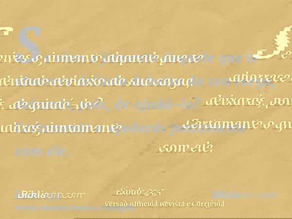 Se vires o jumento daquele que te aborrece deitado debaixo da sua carga, deixarás, pois, de ajudá-lo? Certamente o ajudarás juntamente com ele.