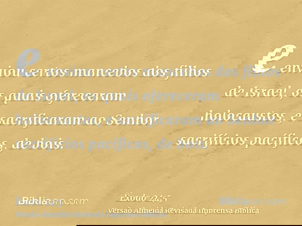 e enviou certos mancebos dos filhos de Israel, os quais ofereceram holocaustos, e sacrificaram ao Senhor sacrifícios pacíficos, de bois.