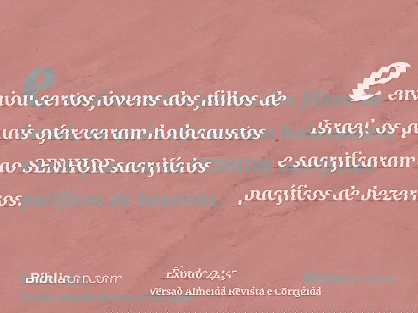 e enviou certos jovens dos filhos de Israel, os quais ofereceram holocaustos e sacrificaram ao SENHOR sacrifícios pacíficos de bezerros.