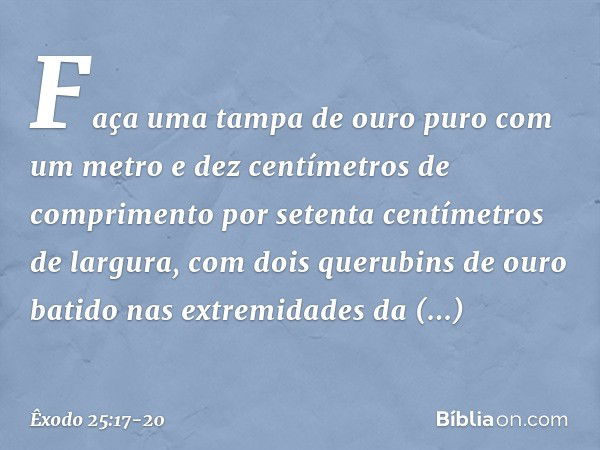 "Faça uma tampa de ouro puro com um metro e dez centímetros de comprimento por setenta centímetros de largura, com dois querubins de ouro batido nas extremidade