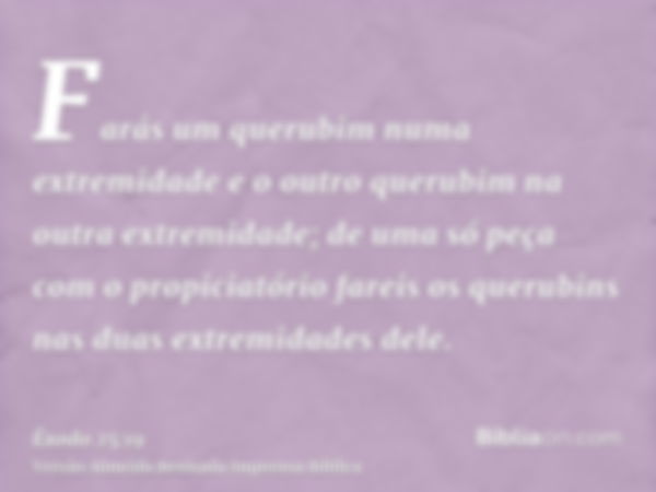 Farás um querubim numa extremidade e o outro querubim na outra extremidade; de uma só peça com o propiciatório fareis os querubins nas duas extremidades dele.