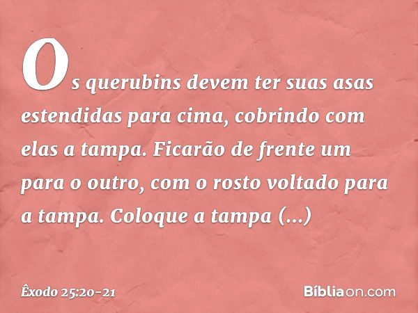 21 Dinâmicas para Células: quebra-gelo, brincadeiras e jogos - Bíblia