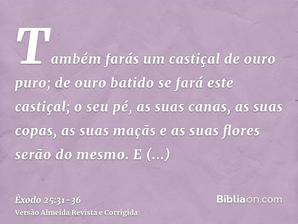 Também farás um castiçal de ouro puro; de ouro batido se fará este castiçal; o seu pé, as suas canas, as suas copas, as suas maçãs e as suas flores serão do mes