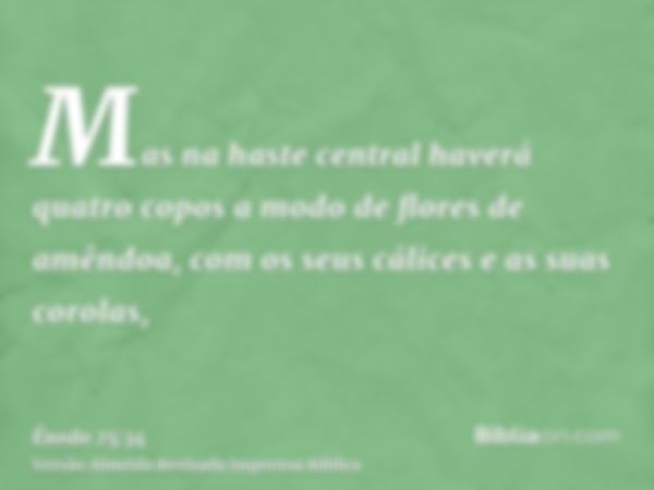 Mas na haste central haverá quatro copos a modo de flores de amêndoa, com os seus cálices e as suas corolas,