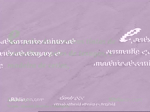 e peles de carneiros tintas de vermelho, e peles de texugos, e madeira de cetim,