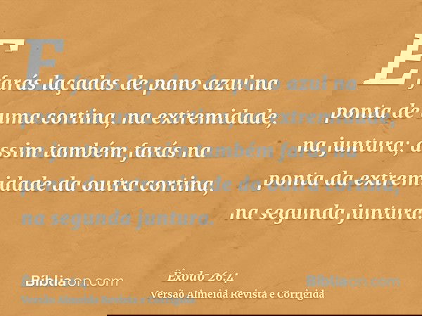 E farás laçadas de pano azul na ponta de uma cortina, na extremidade, na juntura; assim também farás na ponta da extremidade da outra cortina, na segunda juntur
