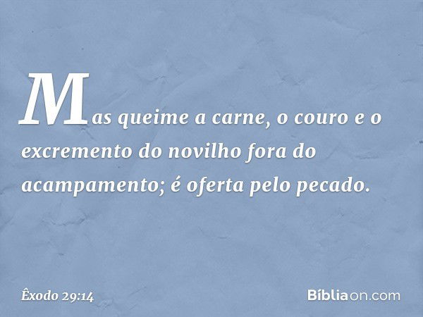 Mas queime a carne, o couro e o excremento do novilho fora do acampamento; é oferta pelo pecado. -- Êxodo 29:14