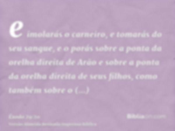 e imolarás o carneiro, e tomarás do seu sangue, e o porás sobre a ponta da orelha direita de Arão e sobre a ponta da orelha direita de seus filhos, como também 