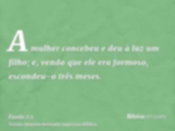 A mulher concebeu e deu à luz um filho; e, vendo que ele era formoso, escondeu-o três meses.