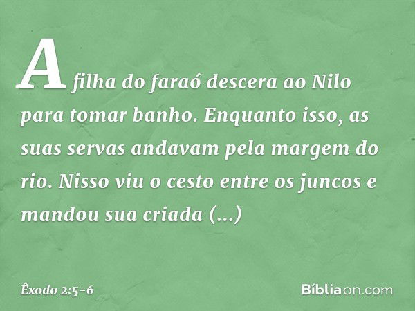 A filha do faraó descera ao Nilo para tomar banho. Enquanto isso, as suas servas an­davam pela margem do rio. Nisso viu o cesto entre os juncos e mandou sua cri