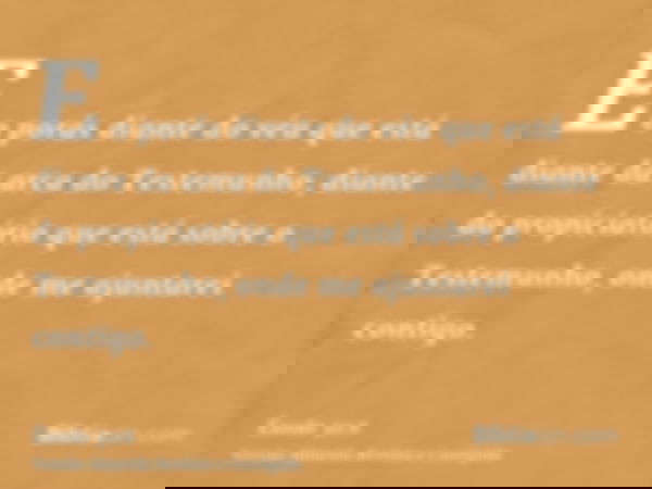 E o porás diante do véu que está diante da arca do Testemunho, diante do propiciatório que está sobre o Testemunho, onde me ajuntarei contigo.