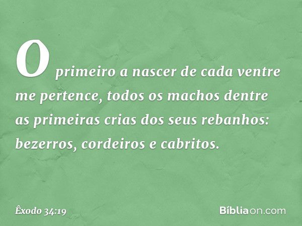 "O primeiro a nascer de cada ventre me pertence, todos os machos dentre as primei­ras crias dos seus rebanhos: bezerros, cordeiros e cabritos. -- Êxodo 34:19