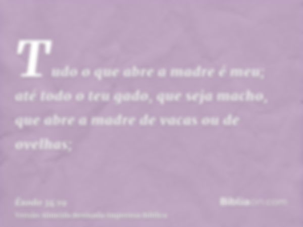 Tudo o que abre a madre é meu; até todo o teu gado, que seja macho, que abre a madre de vacas ou de ovelhas;