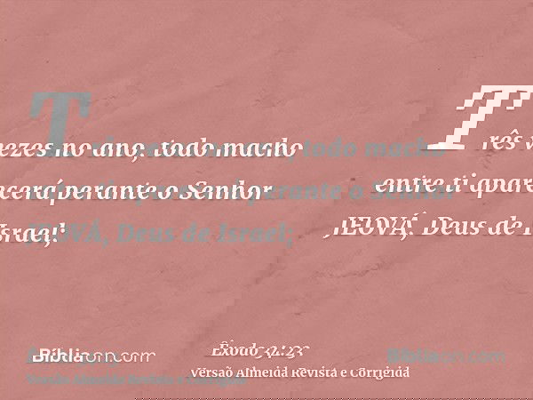 Três vezes no ano, todo macho entre ti aparecerá perante o Senhor JEOVÁ, Deus de Israel;
