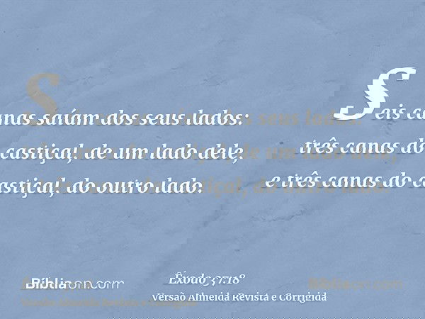 Seis canas saíam dos seus lados: três canas do castiçal, de um lado dele, e três canas do castiçal, do outro lado.