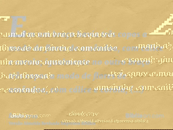 Em um braço havia três copos a modo de flores de amêndoa, com cálice e corola; igualmente no outro braço três copos a modo de flores de amêndoa, com cálice e co