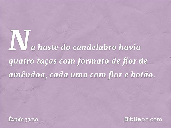 Na haste do candela­bro havia quatro taças com formato de flor de amên­doa, cada uma com flor e botão. -- Êxodo 37:20