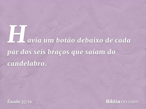 Havia um botão debaixo de cada par dos seis braços que saíam do candelabro. -- Êxodo 37:21