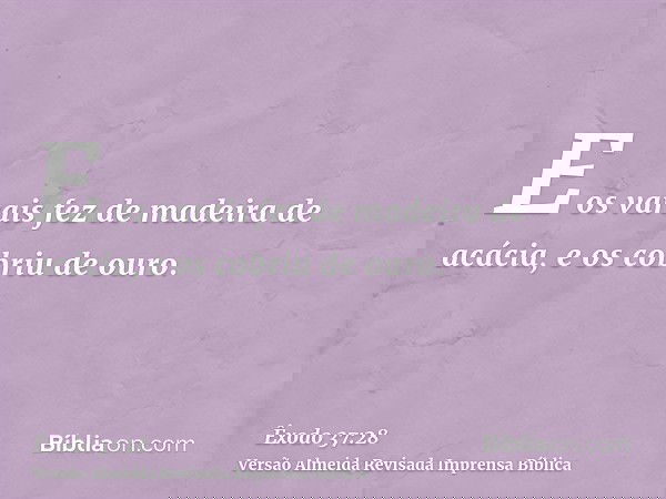 E os varais fez de madeira de acácia, e os cobriu de ouro.