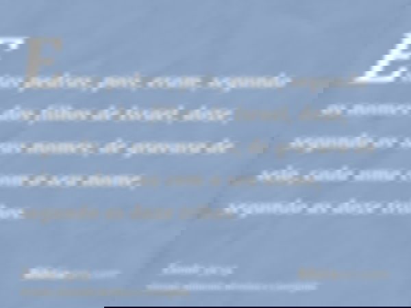 Estas pedras, pois, eram, segundo os nomes dos filhos de Israel, doze, segundo os seus nomes; de gravura de selo, cada uma com o seu nome, segundo as doze tribo