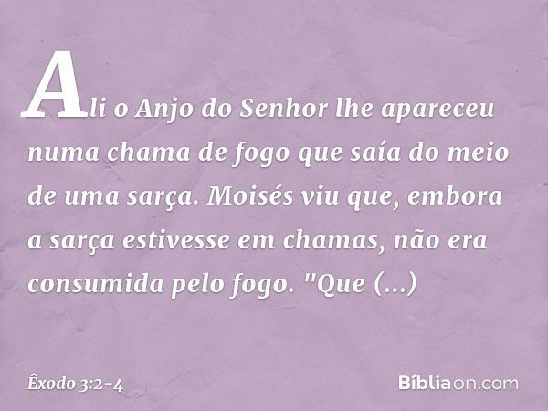 Ali o Anjo do Senhor lhe apareceu numa chama de fogo que saía do meio de uma sarça. Moisés viu que, embora a sarça estivesse em chamas, não era consumida pelo f